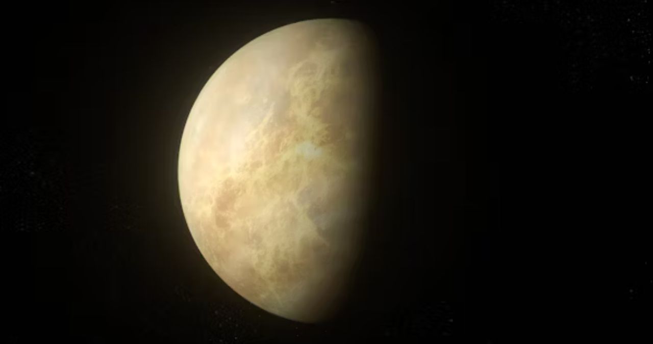 Venus Lusk