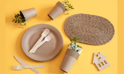 Friendly Disposable Tableware
