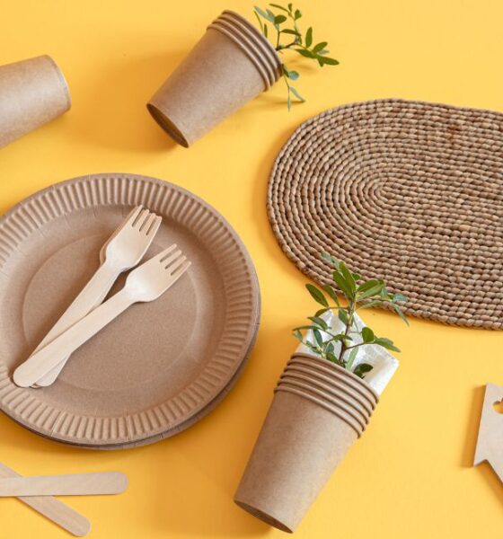 Friendly Disposable Tableware