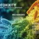 Kleptotoxicity: The Science, Mechanisms, and Ecological Importance
